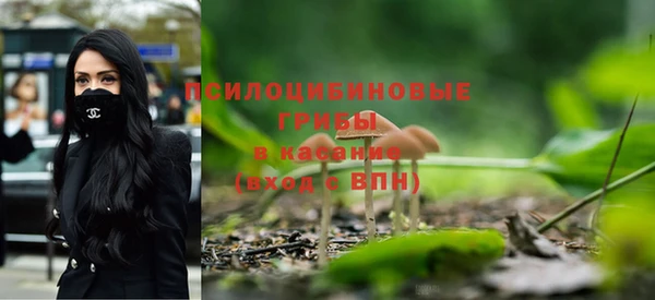 прущая мука Белокуриха