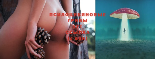 Альфа ПВП Беломорск