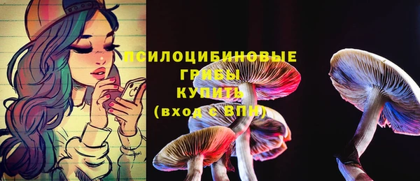 прущий лед Белоозёрский