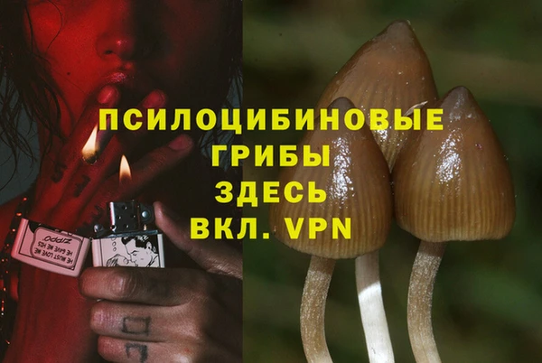 прущие крисы Балабаново
