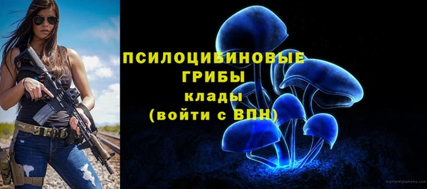 дживик Баксан