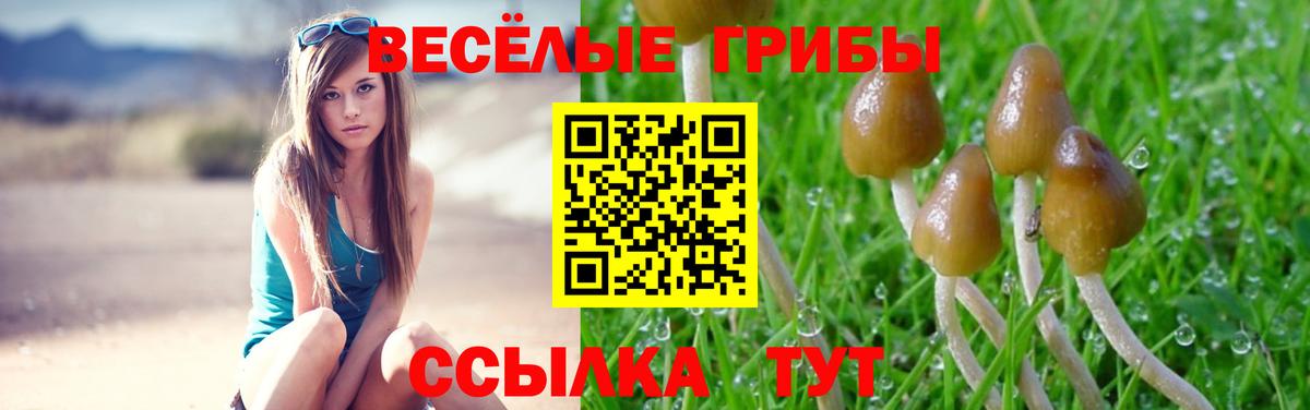 Псилоцибиновые грибы MAGIC MUSHROOMS Реутов